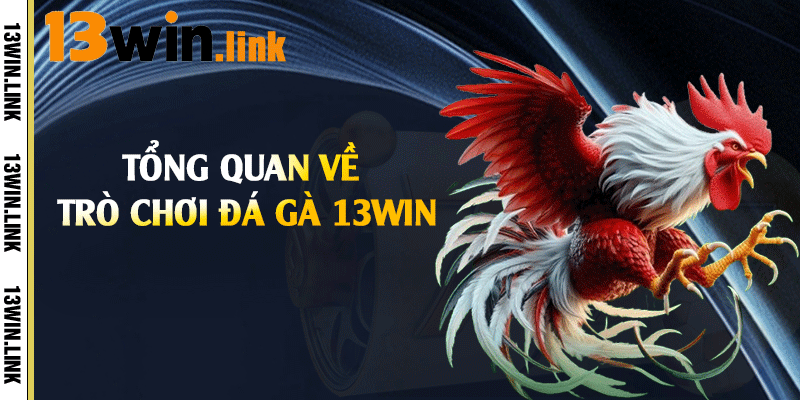Tổng quan về trò chơi đá gà 13win